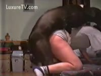 Animal Porn DVD - Big concupiscent doggy dominates a lady
